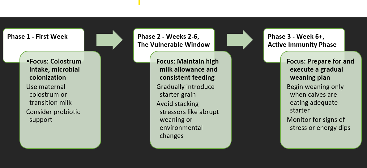 Stress mgt rumen acidosis 2025-04-25 131621.png